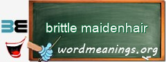 WordMeaning blackboard for brittle maidenhair